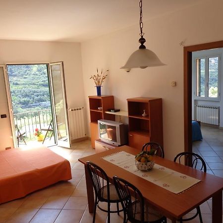 Agriturismo Turlin Vallebona Экстерьер фото
