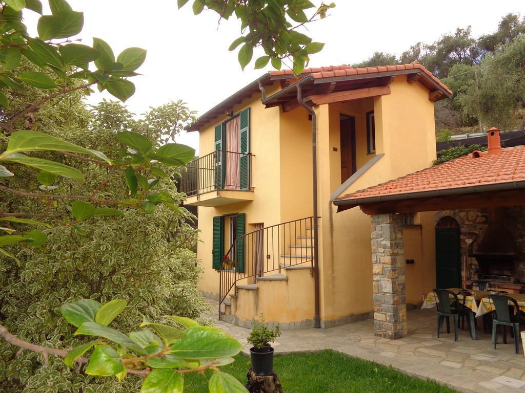 Agriturismo Turlin Vallebona Экстерьер фото