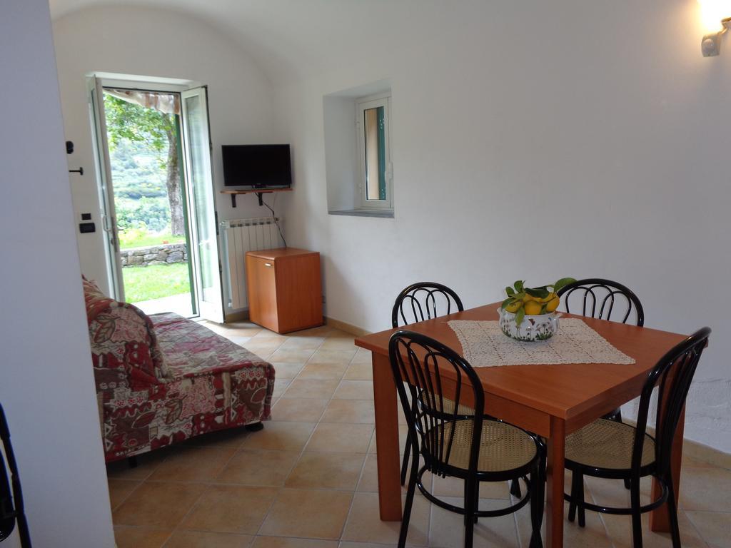 Agriturismo Turlin Vallebona Экстерьер фото