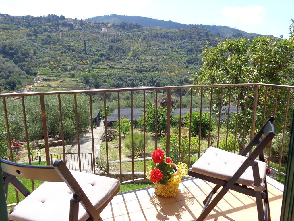 Agriturismo Turlin Vallebona Экстерьер фото