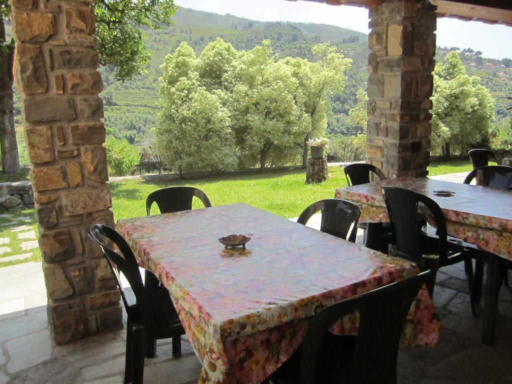 Agriturismo Turlin Vallebona Экстерьер фото
