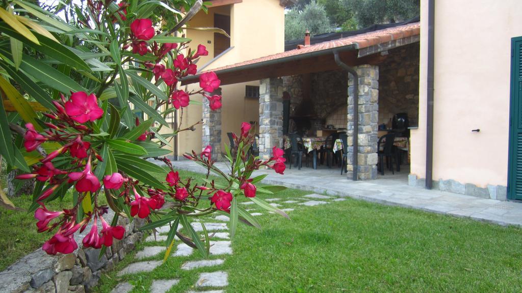 Agriturismo Turlin Vallebona Экстерьер фото